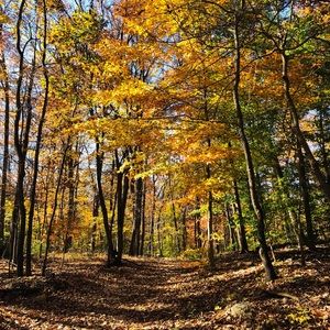 Meet your Posher, Gina